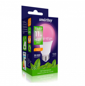 ������������ ����� ���� Smartbuy A60 11W E27 